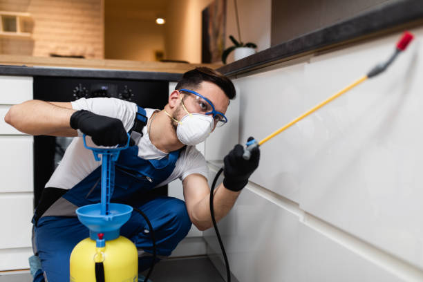 Best Pest Inspection Near Me  in Gibbsboro, NJ