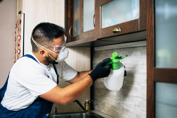 Best Rat Extermination Near Me  in Gibbsboro, NJ