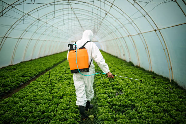 Best Mosquito Control Services  in Gibbsboro, NJ