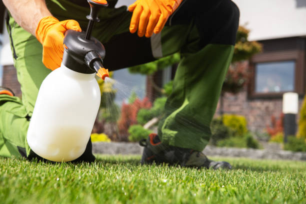 Best Flea Control Services  in Gibbsboro, NJ
