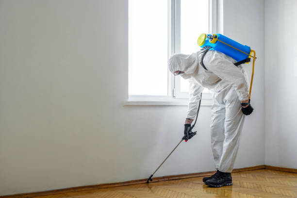 Best Affordable Pest Control Services  in Gibbsboro, NJ