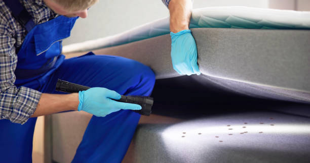 Best Wasp Removal Services  in Gibbsboro, NJ