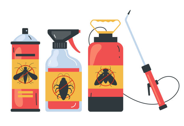 Best Spider Control Near Me  in Gibbsboro, NJ