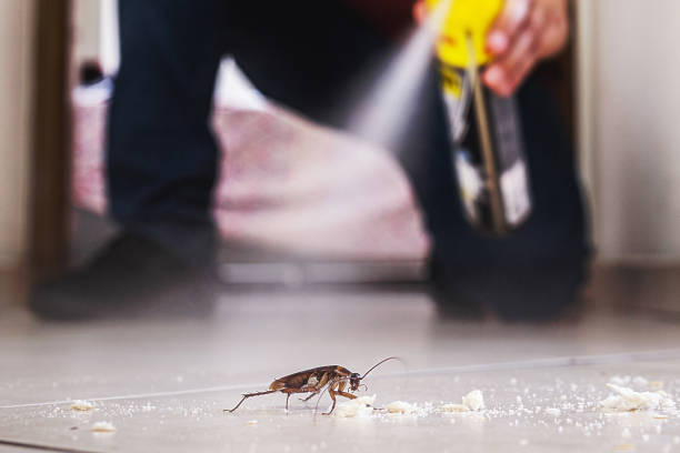 Best Pest Removal Services  in Gibbsboro, NJ