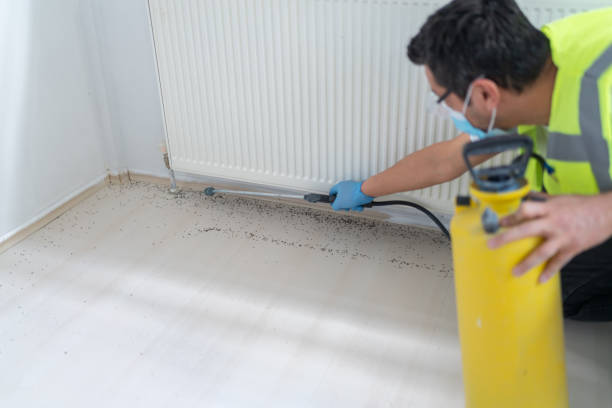 Best Affordable Pest Control Services  in Gibbsboro, NJ