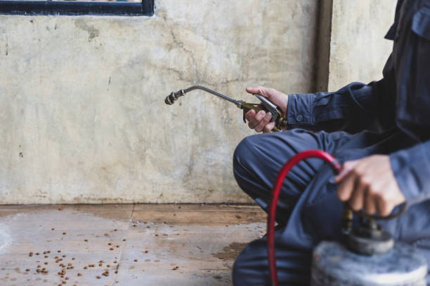 Best Affordable Pest Control Services  in Gibbsboro, NJ